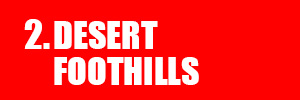 Desert Foothills